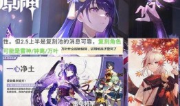 最新爆料雷电将军是谁,揭秘背后惊人真相