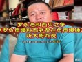 乐播老贾爆料新闻最新消息,最新热点事件深度解析