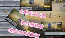 pupg体验服最新爆料,全新内容与优化即将来袭！