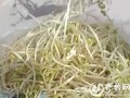豆芽爆料视频大全最新,揭秘娱乐圈幕后真相