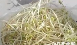 豆芽爆料视频大全最新,揭秘娱乐圈幕后真相