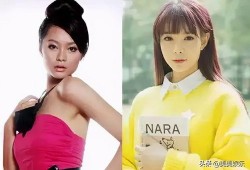 沈梦辰王菊最新爆料,揭秘娱乐圈幕后故事