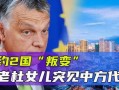 老杜最新爆料消息,揭秘娱乐圈惊人内幕