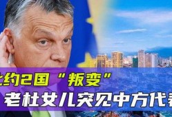老杜最新爆料消息,揭秘娱乐圈惊人内幕